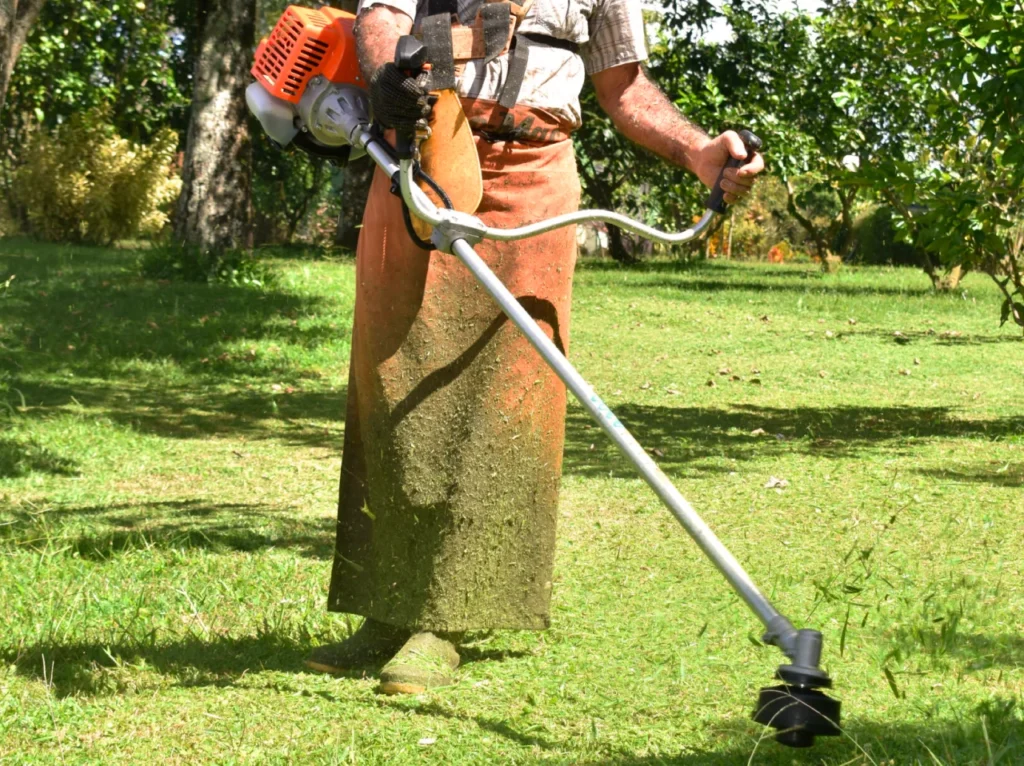 Agrícola, Forestal y Jardinería